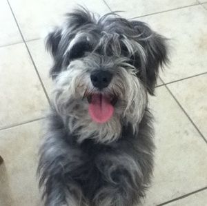 Meet your Posher, Derek y.